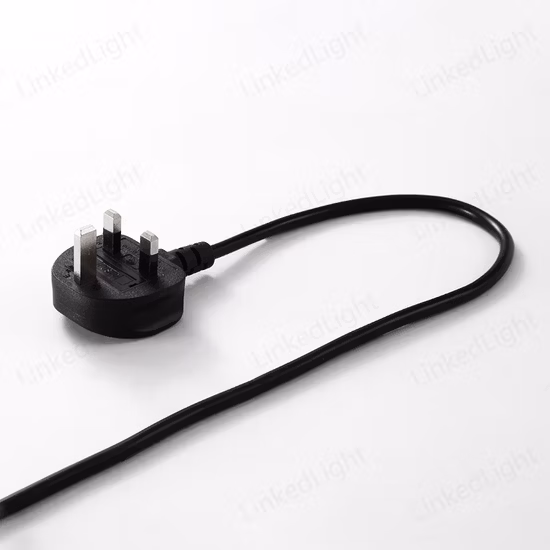 Alimentatore solare per centrale elettrica portatile da 3000 W con spina CA personalizzata